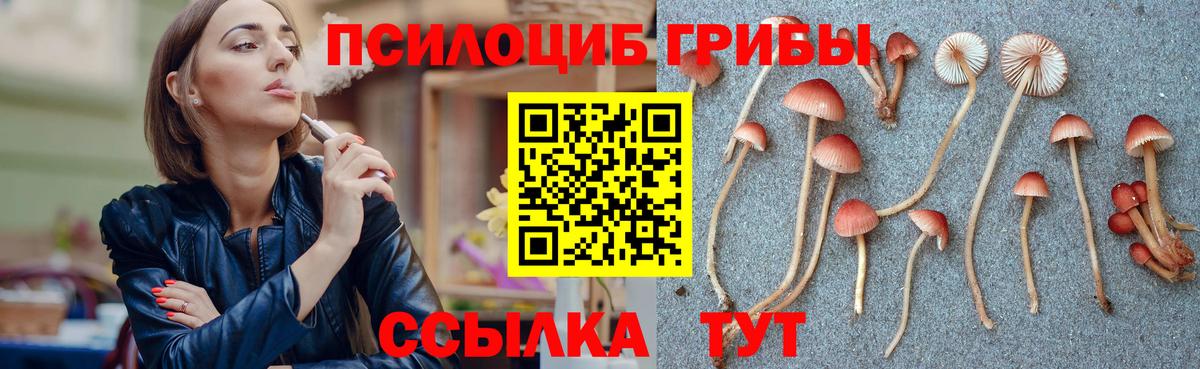 Псилоцибиновые грибы мицелий  Псилоцибиновые грибы мицелий  Элиста  Вход с VPN 